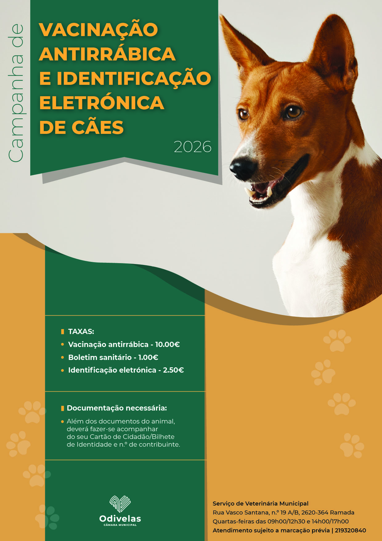 https://bo.jf-pontinhafamoes.pt/FileUploads/eventos/image010_isrhfokx.jpg